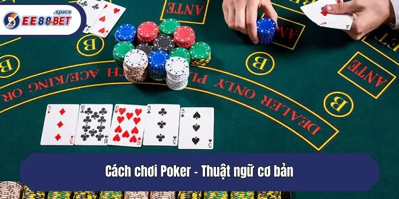 Thuật ngữ cơ bản trong Poker