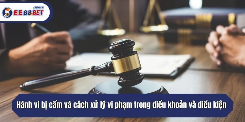 Các hành vi bị cấm và biện pháp xử lý vi phạm