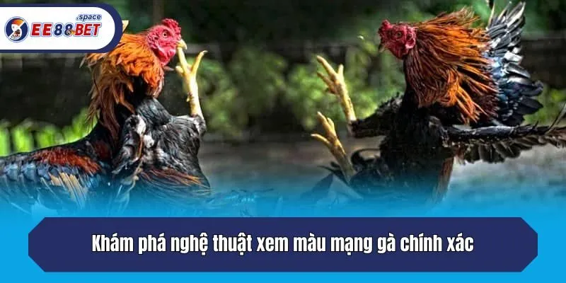 Khám phá nghệ thuật xem màu mạng gà chính xác