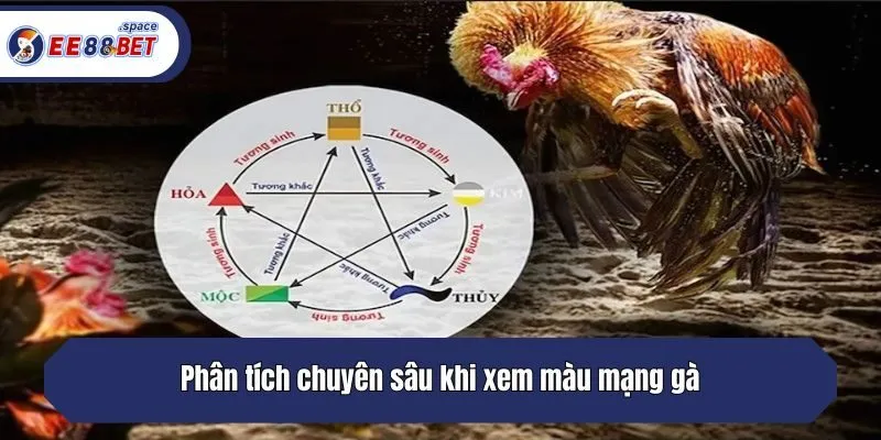 Phân tích chuyên sâu các loại màu mạng gà