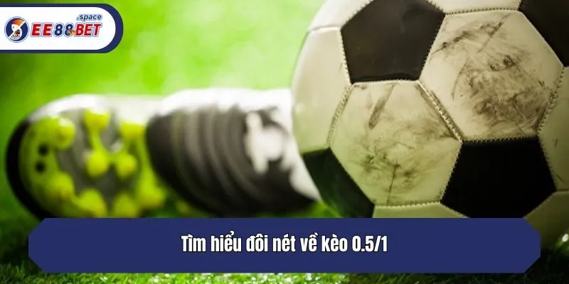 Tìm hiểu đôi nét về kèo 0.5/1