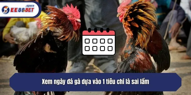 Xem ngày đá gà dựa vào 1 tiêu chí là sai lầm